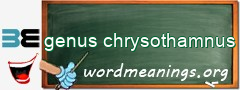 WordMeaning blackboard for genus chrysothamnus